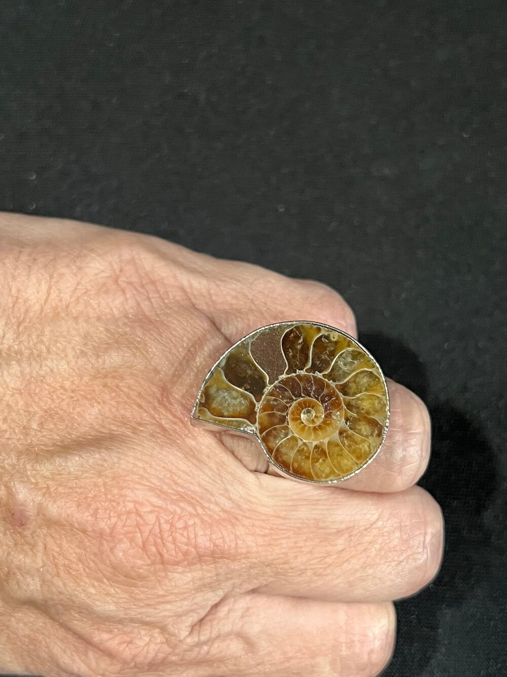 Ammonite Fossil Statement Ring Natural Spiral Fossil Brown  Vintage Style